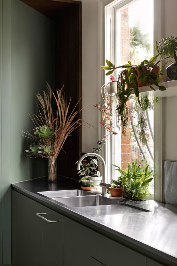 A close-up view of a compact, characterful kitchen corner with dark green flat-panel cabinetry, a polished stainless-steel benchtop, and an inset double-bowl sink beneath a tall multi-pane window. The window reveals brickwork outside, while numerous potted plants sit on the sill and benchtop. A dark timber-lined recess and a vase of dried grasses add warmth and contrast to the space.