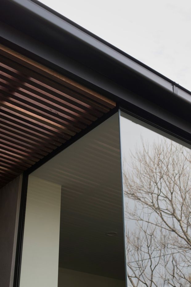 Close-up architectural detail of a contemporary building exterior, showing a dark metal roof edge and gutter, black-framed glazing, a timber slatted pergola or soffit, and a light-coloured recessed ceiling. The reflective glazing captures bare tree branches, while the composition emphasizes clean lines, deep overhangs, and contrasting timber and dark metal finishes.