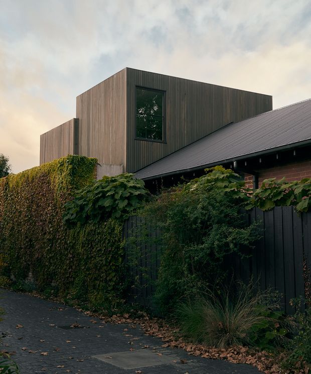 Exterior view of a contemporary residential extension behind a planted boundary. A box-like upper volume is clad in narrow vertical timber boards with a dark-framed window, set above and behind an older pitched-roof structure. Dense climbing greenery, shrubs, grasses, dark fencing, and a paved walkway frame the building.