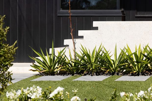 Close-up view of a landscaped residential facade featuring dark vertical cladding, a black-framed window, and a distinctive white stepped geometric wall element. A planted garden bed with spiky green foliage sits beside pale rectangular stepping stones and a neatly trimmed lawn.