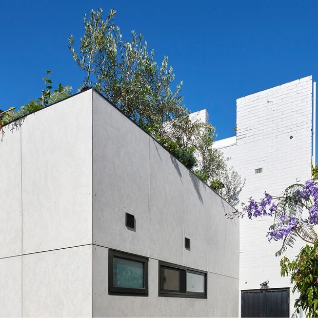 Exterior architectural view of a compact modern building with smooth light-grey rendered or panelled walls, dark-framed horizontal windows, and a white-painted brick structure behind it. Vegetation grows along the roofline and walls, with a vivid blue sky creating a strong backdrop.