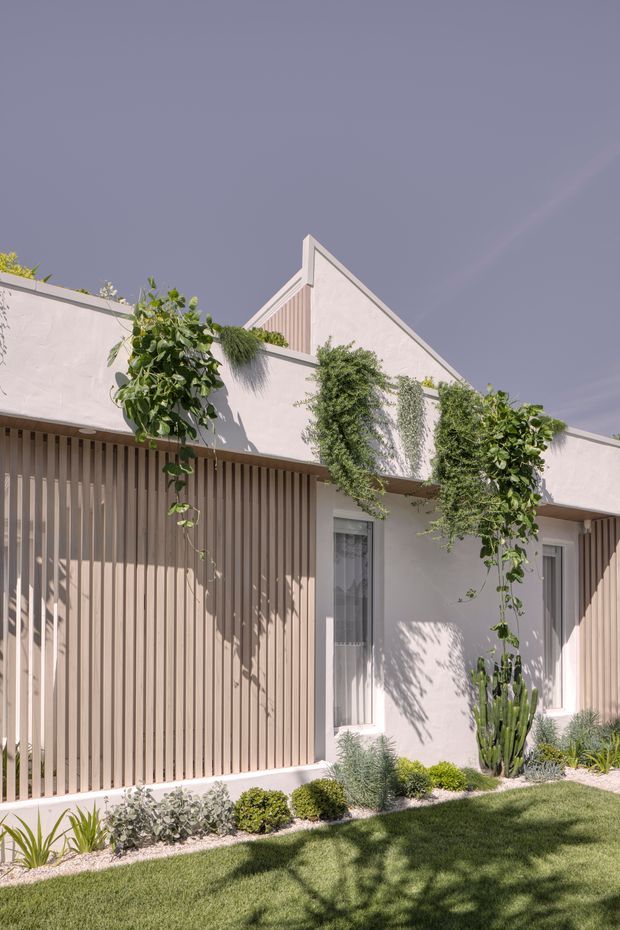 A contemporary single-storey residential facade in pale rendered masonry, featuring a sharply pitched triangular roof element, vertical timber-look screening, narrow windows, and a projecting flat-roofed canopy. Lush hanging and climbing plants soften the facade, with a manicured lawn, gravel garden bed, and drought-tolerant planting in the foreground.