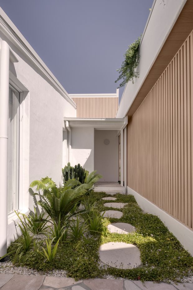 A narrow, sunlit landscaped courtyard or side passage leading to a recessed entry. The space is framed by white rendered walls and a tall warm timber-toned vertical slatted screen, with a curved timber-lined soffit and concealed roof edges. Round pale stepping stones cross low green groundcover, surrounded by sculptural tropical plants and cacti. The composition is clean, contemporary, and serene, with a strong indoor-outdoor architectural focus.