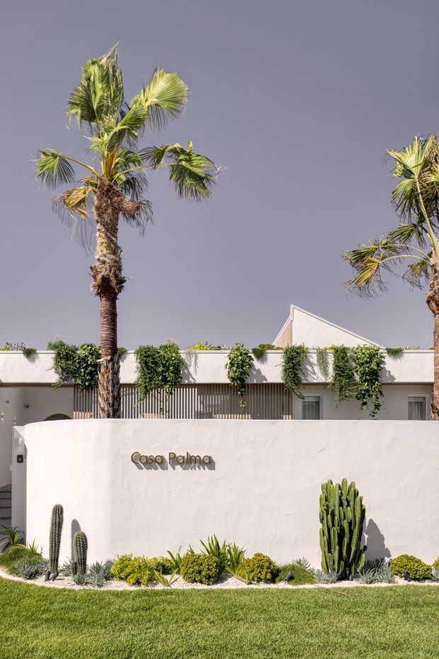 Exterior view of a low-rise, white stucco property named Casa Palma, framed by tall palm trees and a landscaped drought-tolerant garden with cacti and succulents. The facade features a solid white boundary wall with raised signage, a flat-roofed main volume, a pitched roof section behind it, vertical screened elements, climbing greenery, and discreet windows and doors. Bright, warm, resort-like landscaping contrasts with the muted grey sky.