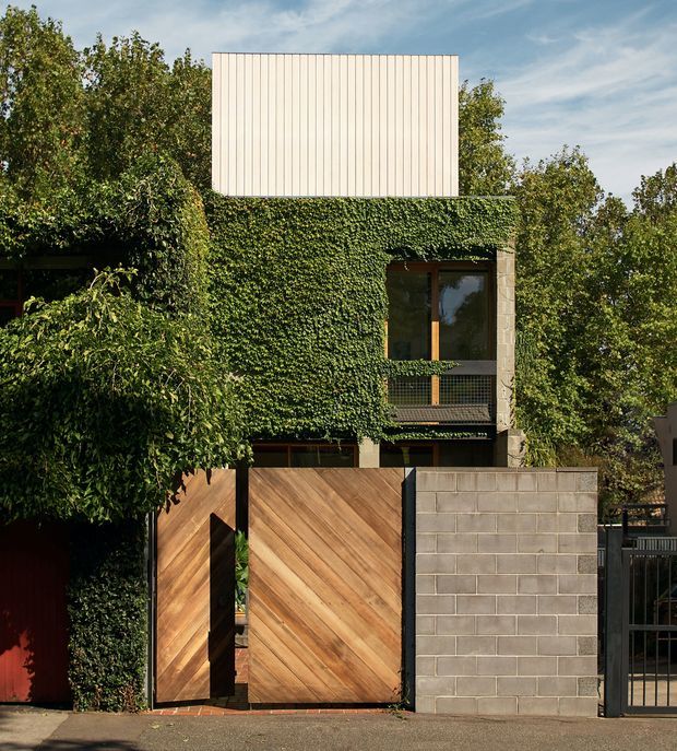 Street-facing view of a contemporary multi-storey residence partially concealed by dense climbing greenery. The facade combines a pale vertically ribbed upper volume, exposed concrete or concrete-block side elements, dark-framed glazing, and a timber-clad diagonal gate set beside a grey masonry boundary wall. Mature vegetation surrounds the building and softens its urban frontage.
