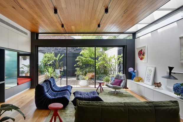 A bright, contemporary living room with a warm timber-lined ceiling, timber flooring, expansive black-framed glazing, and direct views to a landscaped courtyard. The room contains sculptural blue and green seating, a large rug, a built-in white media/storage wall, and a compact red side table. Track lighting and clerestory-style glazing add to the airy, refined interior.