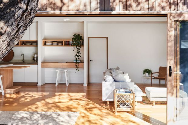 Bright open-plan interior with a minimalist living room and compact kitchen. White built-in shelving and cabinetry, warm timber flooring and wall cladding, a pale sofa, woven coffee table, and timber-framed glazing create a calm, natural contemporary space. A large tree trunk is visible immediately outside the glazing, with dappled sunlight across the room.