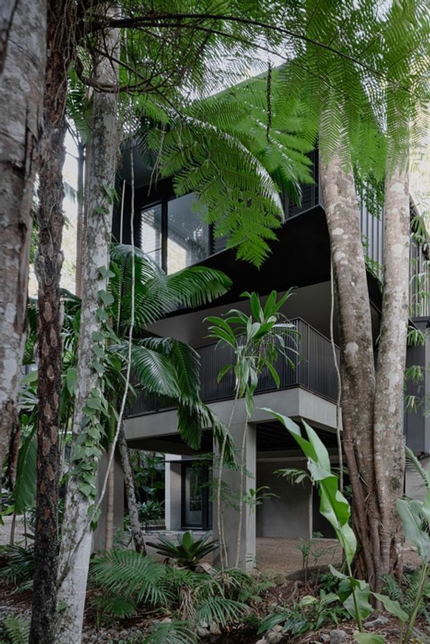 A contemporary multi-level dark-clad house nestled within dense tropical vegetation. The facade combines black vertical cladding, extensive glazing, concrete structural elements, balconies, and open undercroft areas, with tall palms, ferns, and other lush plants surrounding the building.