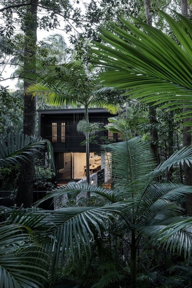 A dark, compact modern dwelling is partially concealed within dense tropical rainforest. The building features black vertical cladding, large glazed openings, and warm interior lighting, with lush palms and layered foliage surrounding and obscuring the structure.