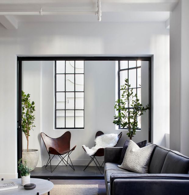 Bright, refined living room with a dark velvet sectional sofa in the foreground, two mid-century-style leather butterfly chairs, large potted plants, and black-framed industrial-style steel glazing. The room has white walls and ceiling, a dark floor, a textured neutral rug, and exposed ceiling services, creating a high-contrast contemporary interior with industrial and mid-century influences.