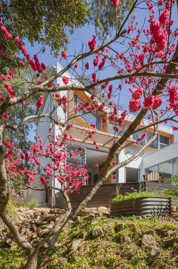 Exterior view of a contemporary multi-level home set into a landscaped, rocky sloping site. The facade combines light grey horizontal cladding, large windows, white framing and warm timber-toned architectural details. A pergola shades an upper-level outdoor area, while flowering trees and raised planters fill the foreground.