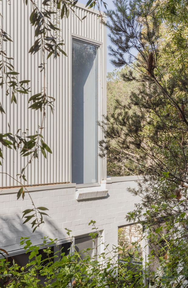 Close exterior view of a multi-level residential building partially screened by established vegetation. The upper facade combines pale vertical weatherboard cladding with a tall narrow window, while the lower level is finished in white-painted brick with additional glazing. Bright natural light and dense planting create an integrated bushland setting.