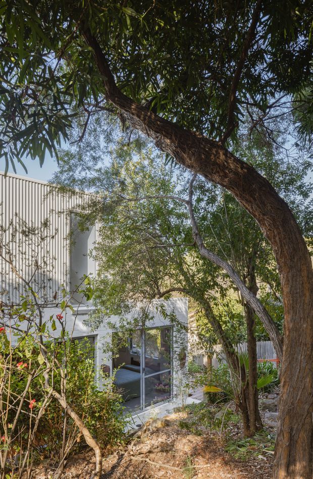 A landscaped residential courtyard or garden view framed by mature trees, showing a contemporary light-coloured building with vertical ribbed cladding and large glazed doors or windows. Natural planting, exposed soil, rocks, and dense tree canopy surround the facade.