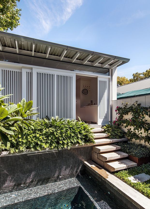Bright exterior view of a compact contemporary home entry opening onto a landscaped courtyard and tiled plunge pool. The facade features white walls, tall vertical louvred screens, a broad low-pitched corrugated metal roof with exposed rafters, and floating stone or concrete steps leading from the pool area to the recessed doorway. Dense tropical planting surrounds the black mosaic-tiled pool and entry path.