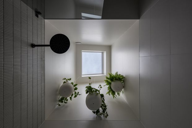 A compact contemporary bathroom viewed upward toward a skylight or high window. The space has smooth light-grey wall and ceiling surfaces, a dark tiled feature wall with a round black showerhead, and three round wall-mounted planters containing greenery. The composition is minimalist and monochromatic with natural plant accents.