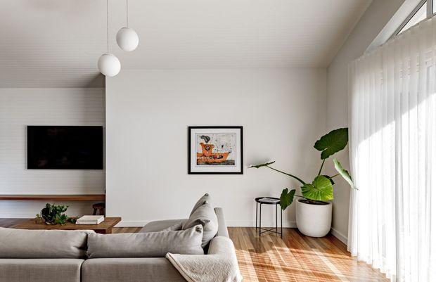 Bright contemporary living room with a low grey sectional sofa, wall-mounted television, timber flooring, white walls and a ribbed white ceiling. Sheer curtains cover tall windows on the right, while indoor plants, framed artwork and spherical pendant lights add understated detail.
