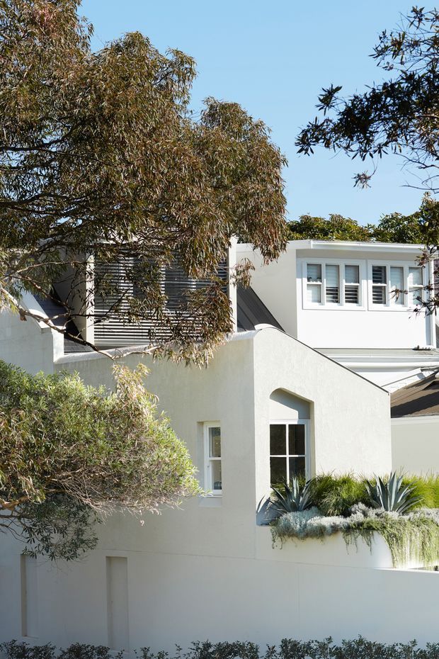 Exterior architectural photograph of a light-coloured, multi-level residence partially screened by mature trees and landscaped planting. The building has smooth white rendered walls, a mix of flat and pitched roof forms, dark horizontal louvres or cladding, white-framed multi-pane windows with shutters, and a raised planter containing drought-tolerant succulents and cascading greenery.