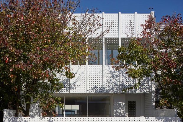 A modern multi-storey residential facade viewed from the street, partially screened by mature deciduous trees. The white building features extensive perforated screen panels across the upper level and front boundary, large glazed openings, a recessed ground-floor entry or living area, and a flat roofline. Strong sunlight creates patterned shadows across the white surfaces.
