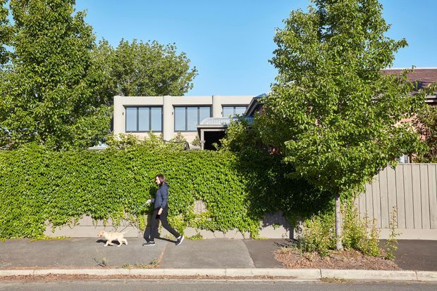Street-facing view of a contemporary residential building largely screened by dense greenery and a tall hedge. The visible upper facade has a simple boxy form with broad dark-framed windows, while a timber-clad or muted panelled fence and paved footpath occupy the foreground. A person walking a small dog is present, but the architecture remains the main subject.