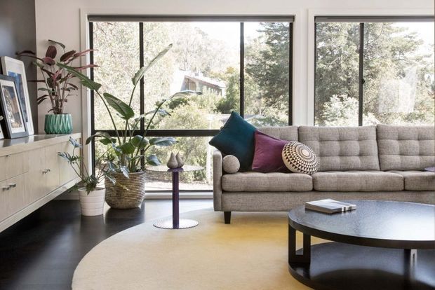 A bright, mid-century-inspired living room with expansive black-framed windows overlooking greenery. The room features a tufted grey sofa with colourful cushions, a round dark coffee table, a cream area rug, dark timber flooring, a low timber sideboard, indoor plants, and framed artwork.