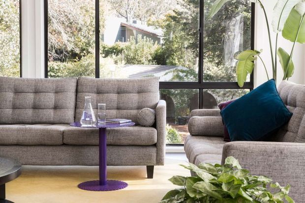 A bright, comfortable living room with a large upholstered tufted sofa and matching armchair arranged beside floor-to-ceiling black-framed glazing. A vivid teal cushion and purple side table add colour, while indoor greenery and a leafy garden view create a relaxed connection to the outdoors.