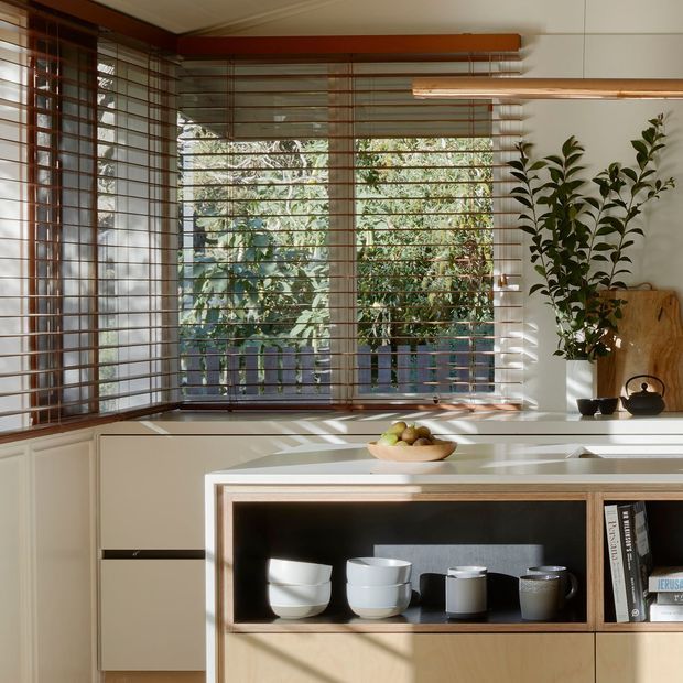 A warm, light-filled kitchen corner featuring a large corner window with timber venetian blinds, cream cabinetry, a white countertop, and a built-in open display shelf holding cups and books. A potted plant and dark kettle sit on the counter, with greenery visible outside. Natural sunlight creates strong horizontal shadows across the cabinetry and surfaces.