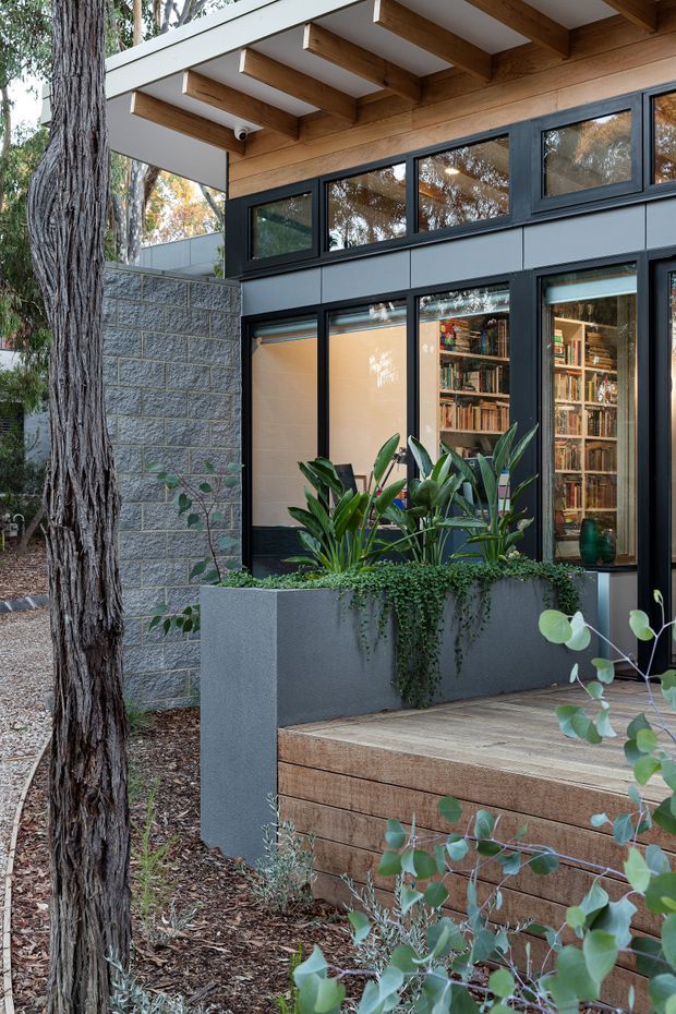 A contemporary house exterior viewed from a landscaped garden, featuring dark-framed glazing, warm timber cladding and exposed timber roof beams. A raised timber deck with broad steps sits beside a large built-in planter filled with greenery, while a textured grey masonry wall and mature tree frame the scene. Bookshelves are visible through the windows.