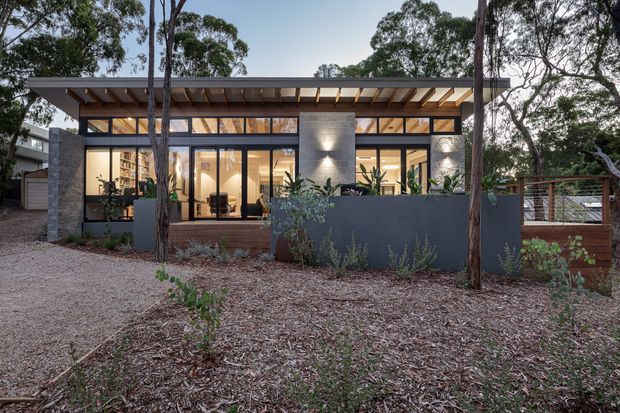 Single-storey contemporary residential building viewed from the landscaped front approach, featuring extensive dark-framed glazing, exposed timber roof structure beneath a shallow pitched roof, grey masonry feature walls, and a low dark rendered boundary wall. Native eucalyptus trees and natural mulch landscaping surround the house, while warmly lit interiors are visible through the windows.