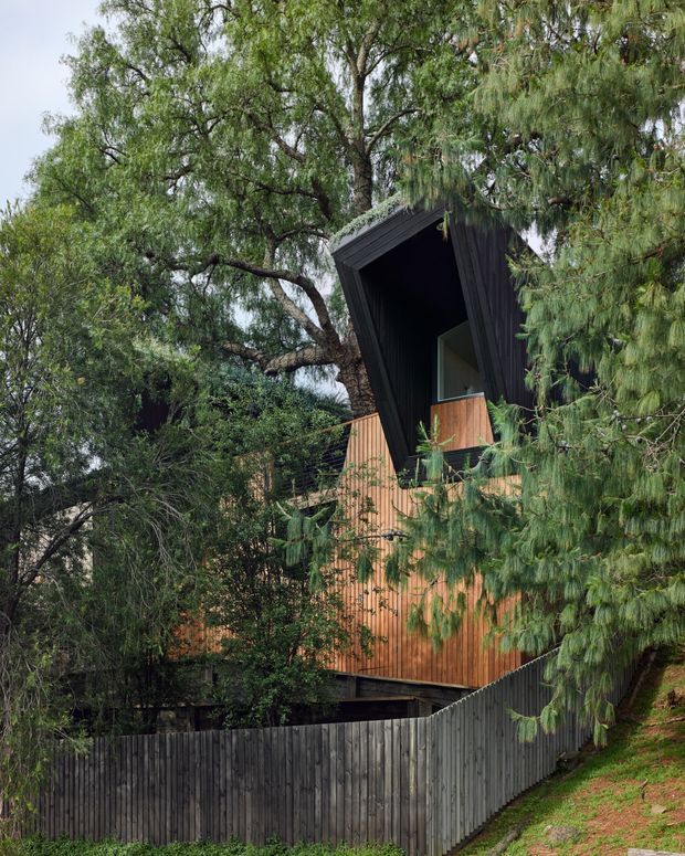 A vertically framed view of a modern timber-clad house nestled among dense mature trees on a sloping, landscaped site. The building features warm vertical wood cladding, a dark angular projecting roof or wall form, and an elevated upper-level opening with a timber balcony or screen. A dark vertical timber fence encloses the foreground.
