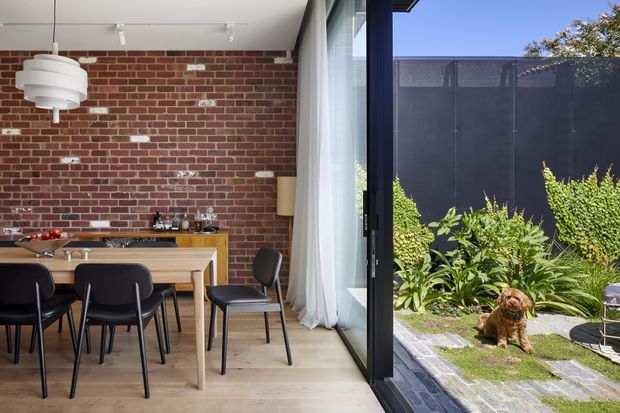 A bright contemporary dining area opening directly onto a landscaped courtyard through full-height black-framed glazing. The interior features a timber dining table and chairs, a red exposed-brick feature wall, pale timber flooring, sheer white curtains, and a layered white pendant light. The courtyard has dark privacy screening, dense planting, and paved stepping areas.