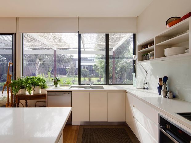 Bright contemporary kitchen with a clean white L-shaped layout, flat-panel cabinetry, white benchtops and splashback, integrated appliances, open shelving, and a large bank of windows overlooking a leafy garden courtyard. A white island occupies the foreground, while timber flooring and indoor plants add warmth.