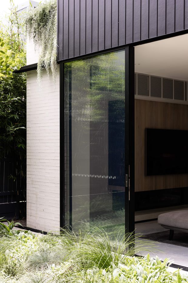A contemporary residential extension viewed from a planted outdoor area, featuring a tall black-framed glazed door, white brickwork, and dark vertical cladding. Through the opening, a media or living room is visible with a wall-mounted television, vertical timber wall panelling, dark cabinetry, and a low upholstered sofa. Dense layered planting surrounds the threshold, creating a strong indoor-outdoor connection.
