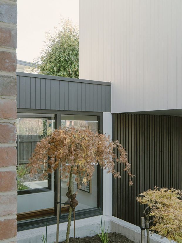 A contemporary residential courtyard viewed from outdoors, featuring crisp intersecting volumes, dark grey vertical-panel fencing and cladding, pale vertical wall cladding, large dark-framed glazed doors and windows, and exposed brickwork at the left edge. Landscaped planter beds with small ornamental trees soften the enclosed architectural space.