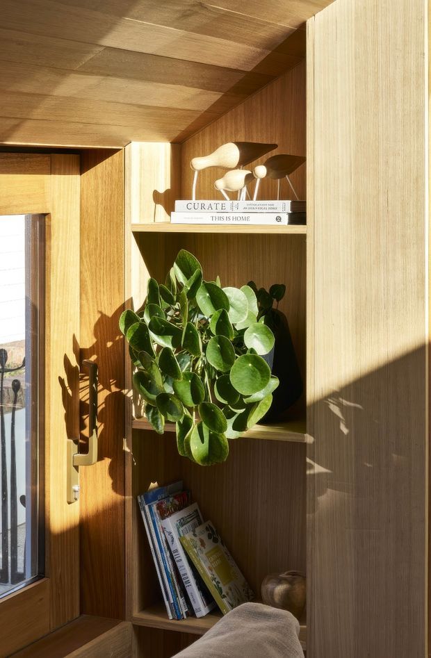 Close-up interior view of a warm timber built-in shelving unit beside a glazed timber door. The shelving features vertical-grain wood lining, open compartments, books, a leafy potted plant, a sculptural wooden ornament, and strong afternoon sunlight casting shadows across the joinery. A soft upholstered seating edge is visible at the bottom.