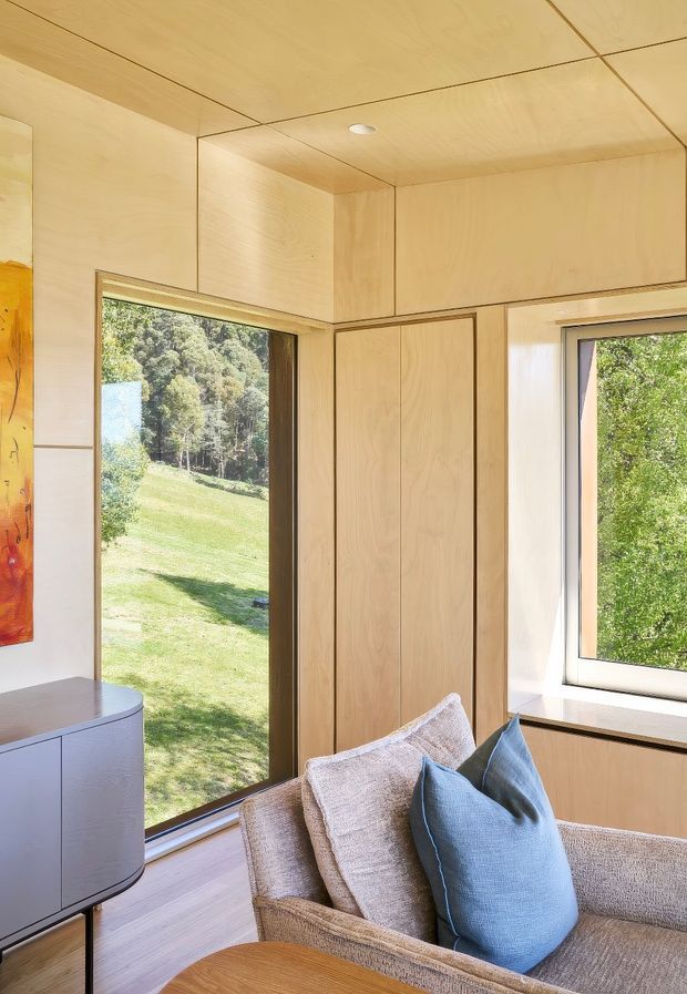 Bright contemporary interior corner featuring extensive light timber plywood wall, ceiling, and built-in cabinetry, with large windows overlooking a green landscaped setting. A compact upholstered sofa with blue cushions sits beside a rounded timber coffee table, while a curved grey built-in cabinet is partially visible. The space has clean-lined joinery, warm natural finishes, and abundant daylight.