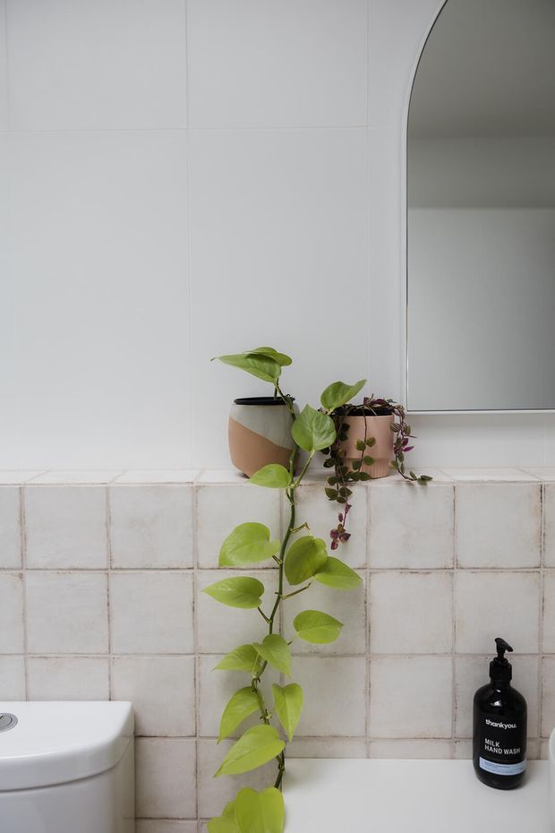 A close-up view of a small bathroom with pale square tiled walls, a white toilet and bathtub, and a large rounded-edge mirror. Two potted trailing plants sit on the tiled ledge, adding greenery, while a black hand-wash bottle rests beside the bath.