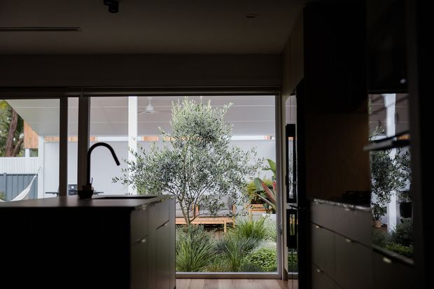 A dark, contemporary kitchen viewed toward a glazed opening and landscaped courtyard. The foreground features a large island with a tall black gooseneck tap, dark cabinetry, and reflective cabinetry along the right wall. Outside, an olive tree, layered planting, timber decking, and a covered patio are visible.