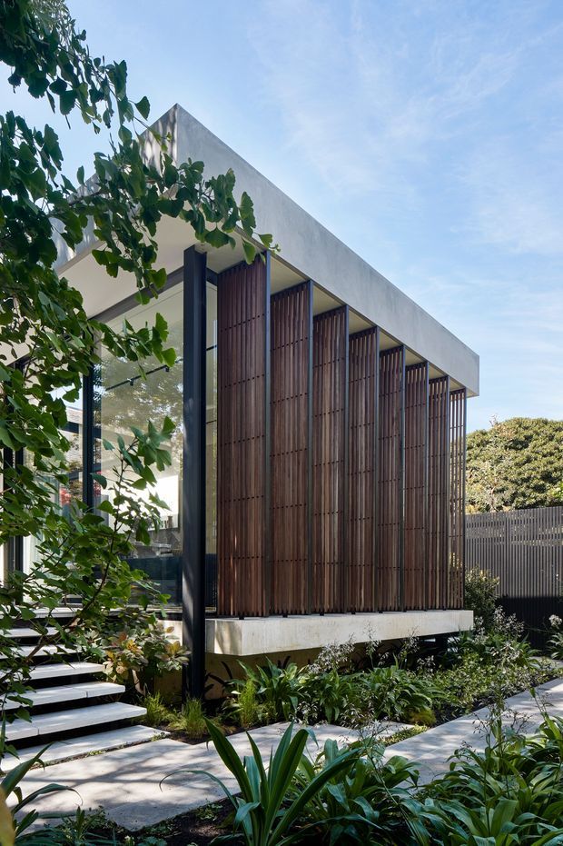 Exterior architectural view of a contemporary multi-level building in a landscaped garden. The facade combines a crisp flat concrete roofline with extensive glazing, dark structural framing, and repeated vertical timber screens that provide privacy and sun control. A broad stairway and pale paved path lead through dense planting toward the entry, with a dark vertical-slat boundary fence visible behind.