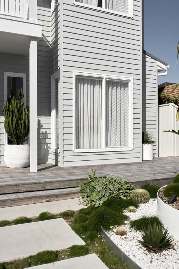 Bright exterior view of a contemporary multi-level house with light grey horizontal weatherboard cladding, white window and door frames, a timber deck and steps, and a landscaped front garden featuring sculptural cacti, succulents, ornamental grasses, white gravel, and concrete stepping slabs.