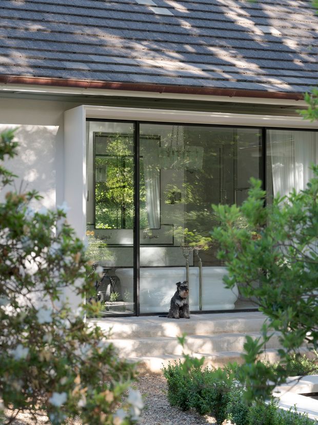 Exterior view of a low-rise residential building, focused on a glazed opening with slim dark-framed sliding or folding doors beneath a weathered grey tiled roof. A light-coloured rendered wall and concrete entry steps are partly screened by landscaped shrubs. The glazing reveals a bright interior with curtains and reflected garden greenery.