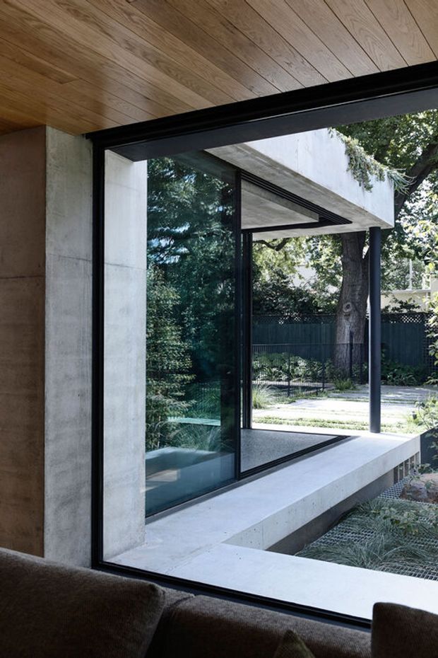 Interior view through expansive black-framed glazing toward a modern concrete courtyard. The room has a warm timber-lined ceiling, concrete structural surfaces, and a dark upholstered sofa in the foreground. Outside, a covered terrace, concrete ledge, slender dark columns, mature trees, and landscaped planting are visible.