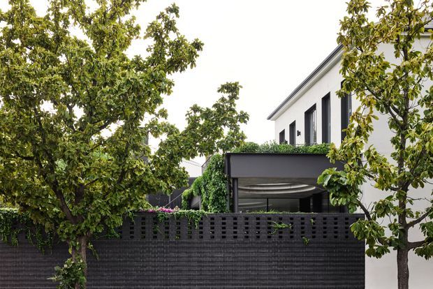 Exterior view of a contemporary two-storey residence, partially screened by mature trees and dense planting. The white upper facade has tall dark-framed vertical windows, while a dark charcoal masonry boundary wall and matching covered outdoor structure define the foreground courtyard or entertaining area.