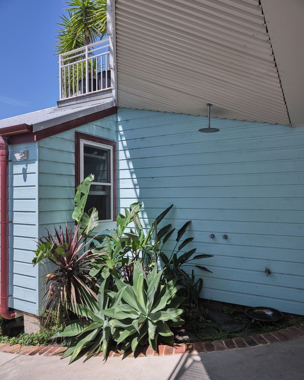 Exterior view of a compact light-blue weatherboard building with burgundy trim, a corrugated metal skillion-style roof and covered outdoor area. A small upper balcony with white metal railings is visible, along with an exterior shower, guttering and a dense tropical planting bed edged with brick paving.