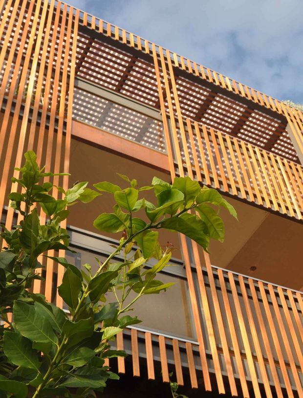 Upward-looking exterior view of a multi-level building facade screened with closely spaced vertical timber battens. Recessed balconies and overhead pergola-like lattice structures create strong repetitive shadow patterns, with glazing and warm-toned soffits behind the screen. Green foliage occupies the foreground and partly obscures the lower facade. The image has a contemporary, rhythmic architectural character.
