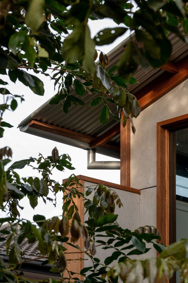 Close-up exterior architectural view partially framed by leafy vegetation, showing a contemporary building facade with smooth light rendered wall panels, warm timber-framed glazing and structural posts, a corrugated metal soffit, exposed timber eaves, and a metal gutter and downpipe. The image focuses on the roof edge, window detailing, and material junctions rather than a complete building elevation.