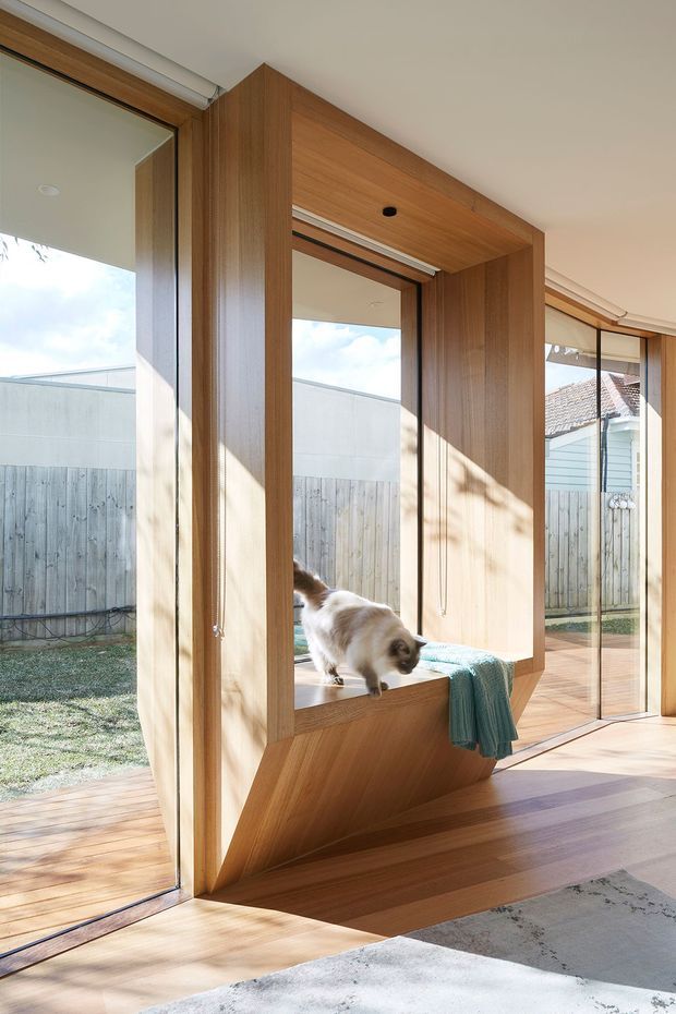 Sunlit contemporary interior featuring a sculptural built-in timber window seat and deep timber-lined opening integrated into full-height glazing. The space has warm wood flooring, expansive sliding glass doors, and a view to a small backyard. A cat rests on the window seat, with a folded teal textile adding a subtle accent.
