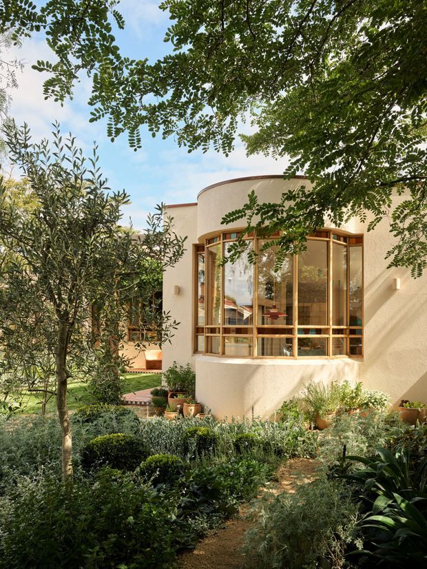 A sunlit residential exterior viewed from a lush landscaped garden. The cream rendered building has a rounded projecting facade with expansive curved timber-framed glazing, warm wood details, and small wall-mounted exterior lights. Dense planting, an olive tree, clipped shrubs, and a narrow garden path surround the house, creating a sheltered Mediterranean-feeling setting.