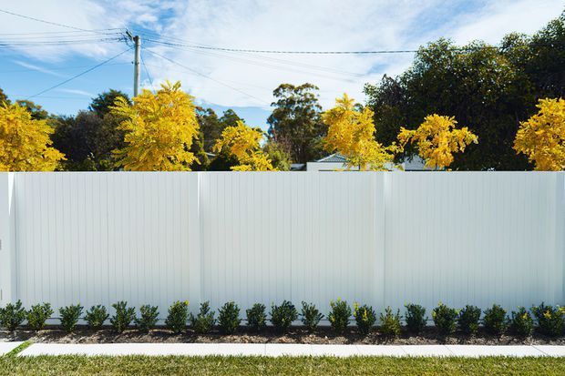 A long, clean white vertical-panel boundary fence with evenly spaced posts, a narrow landscaped planting bed of small shrubs, and a concrete footpath in front. Mature trees and a bright blue sky are visible behind the fence, with overhead utility wires crossing the scene. The image is a straightforward exterior streetscape view focused on the fence and frontage landscaping.