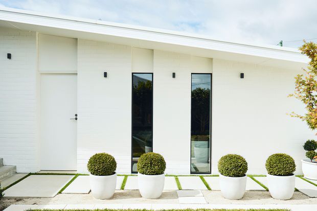 Minimalist white single-storey building facade with a shallow sloping roof, white horizontal cladding, a plain entry door, narrow black-framed vertical windows, and a geometric paved entry path. Symmetrical white planters with clipped spherical shrubs line the frontage.