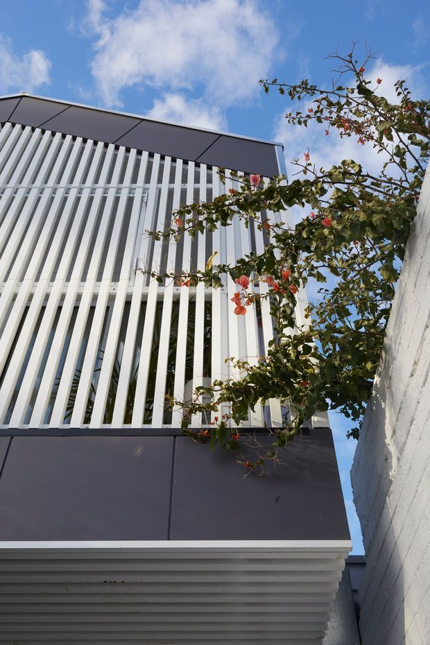 A low-angle exterior view of a contemporary multi-storey building. The facade combines dark smooth panel cladding with prominent white vertical fins screening the glazing, while horizontal louvres project near the lower level. A flowering climbing plant partially crosses the facade, and a white rendered masonry wall borders the narrow side passage. Blue sky is visible above.